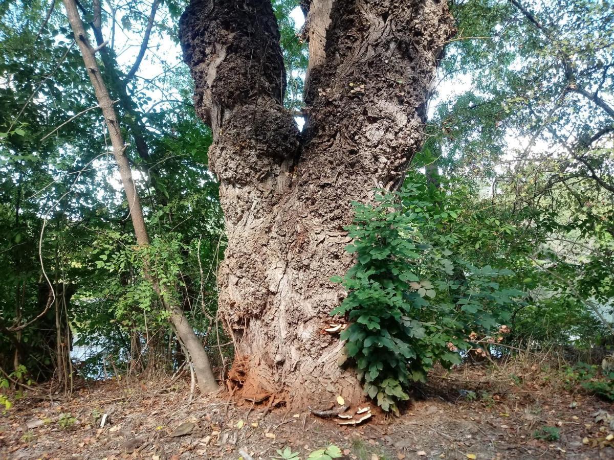 Pintyoke Vendeghaz Toserdo Apartamento Lakitelek Exterior foto